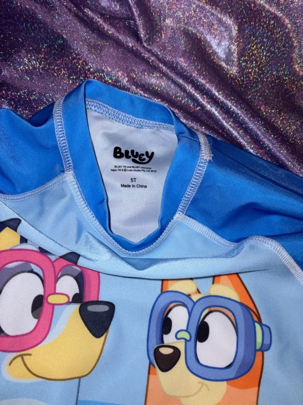 Bluey & Bingo Swim Shirt